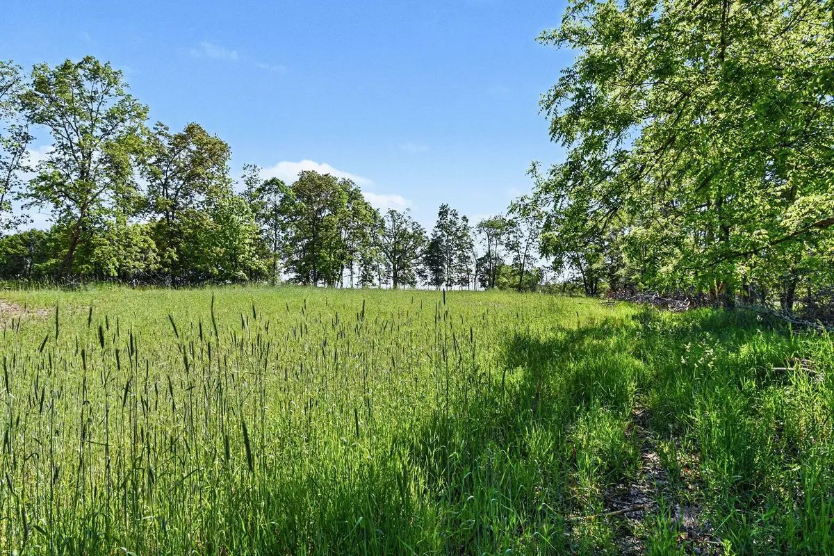 0 E Charles Road, Ionia, MI 48846 - #1