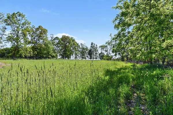 0 E Charles Road, Ionia, MI 48846