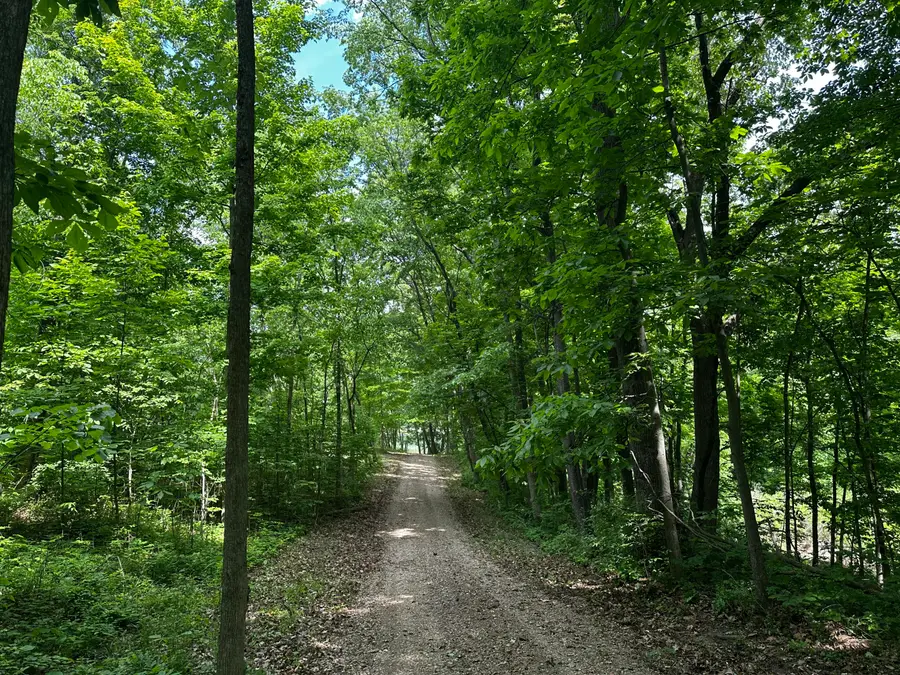 S Norris Road Road, Delton, MI 49046 - #2