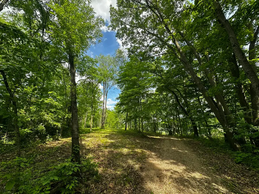 S Norris Road Road, Delton, MI 49046 - #3