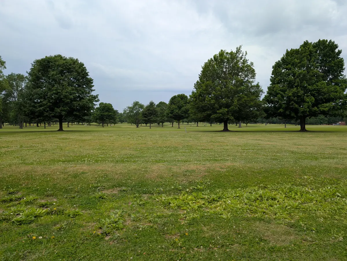 V/L Woodland Drive, Dowagiac, MI 49047 - #1