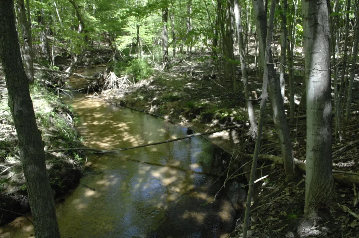 W Marshville Dam Road, Shelby, MI 49455 - #1