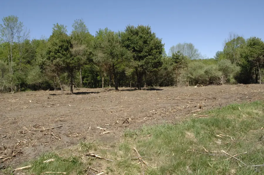 W Marshville Dam Road, Shelby, MI 49455 - #2