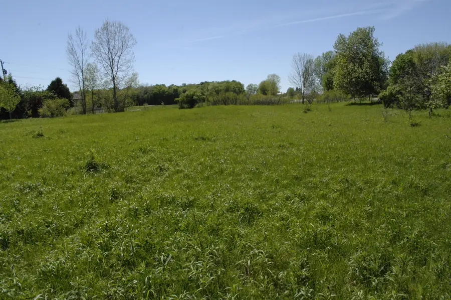 W Marshville Dam Road, Shelby, MI 49455 - #3