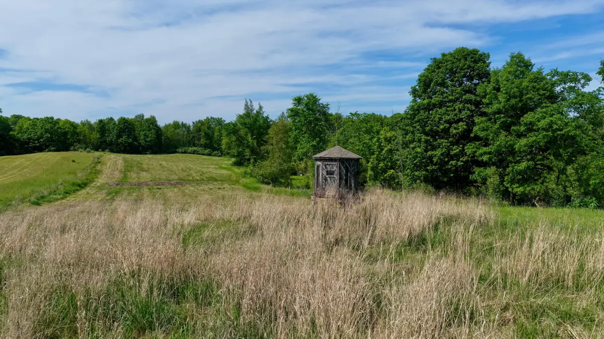 Valley Highway, Vermontville, MI 49096 - #1