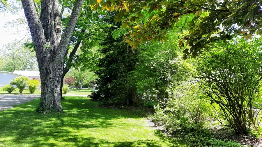 8052 Schroeder Street, Onekama, MI 49675 - #3