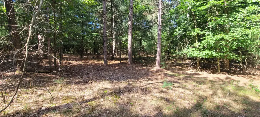 S 32nd Avenue, Shelby, MI 49455 - #2