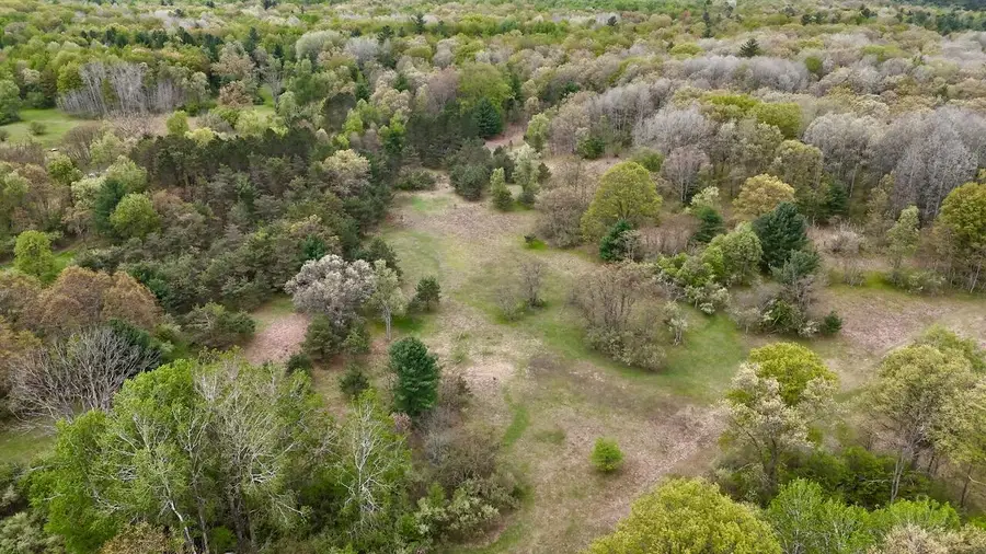 6153 S Branch Road, Branch, MI 49402 - #2