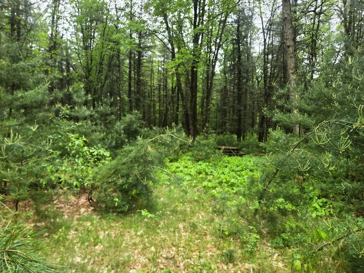 2709 S Jenny Circle, Chase, MI 49623 - #1