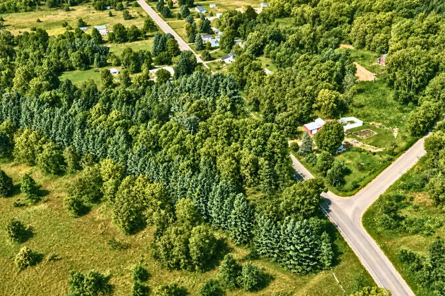 910 Marsh Road, Plainwell, MI 49080 - #2
