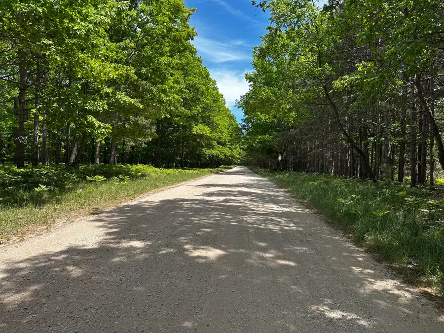 V/L (10a) W Jepson Road, Free Soil, MI 49411 - #3