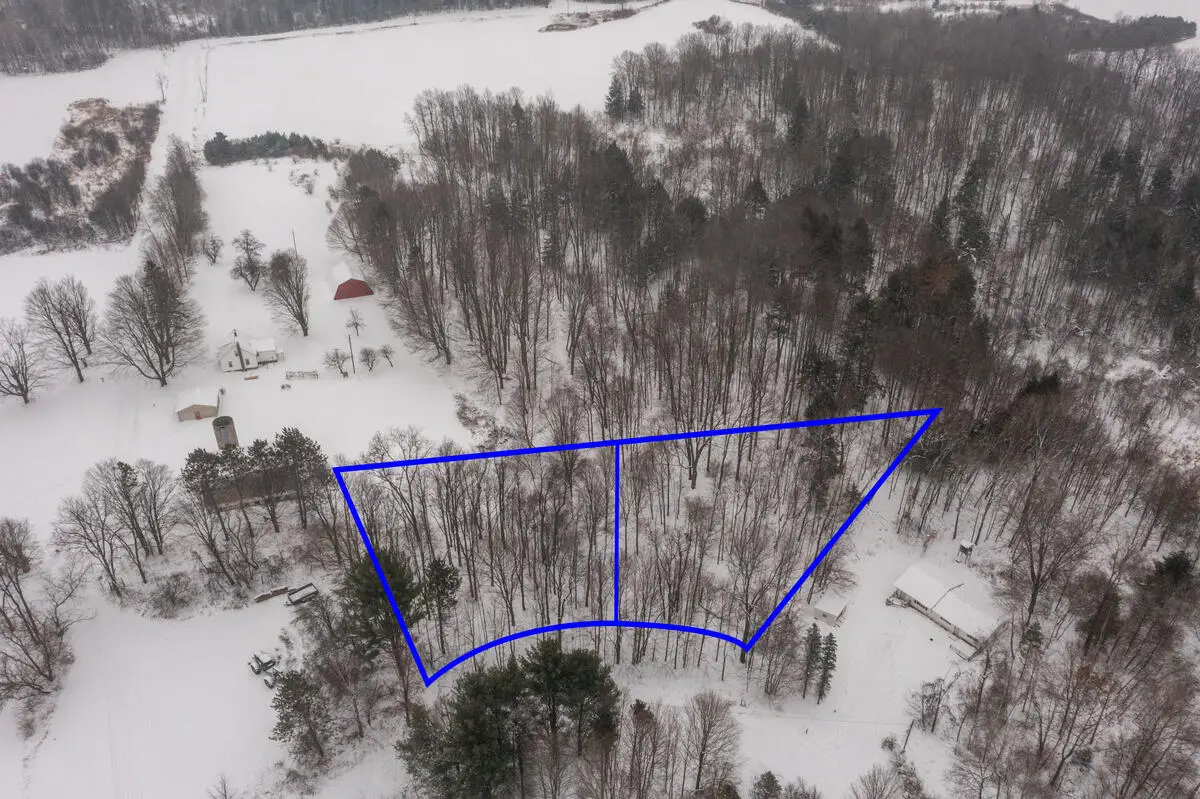 23085 Huron Trail, Evart, MI 49631 - #1