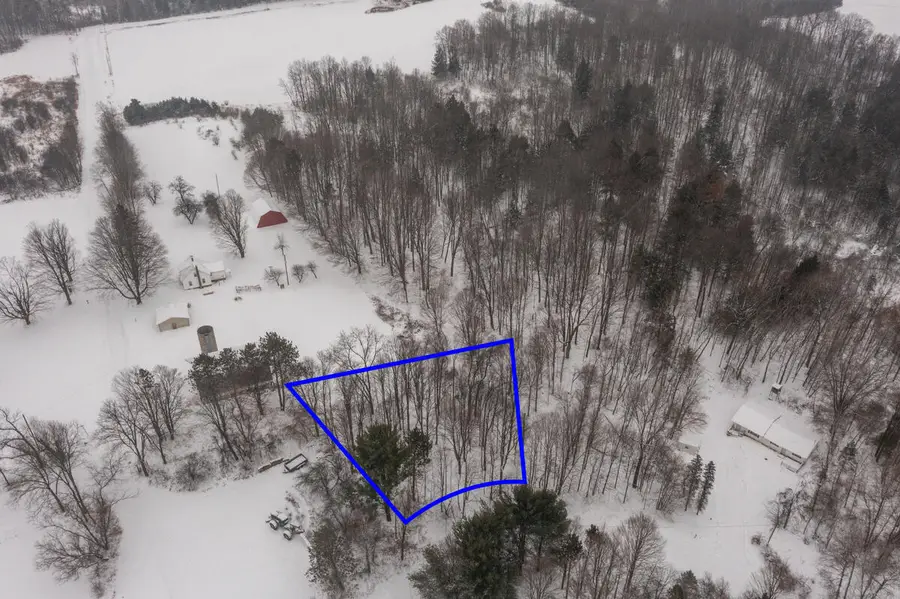 23086 Huron Trail, Evart, MI 49631 - #2