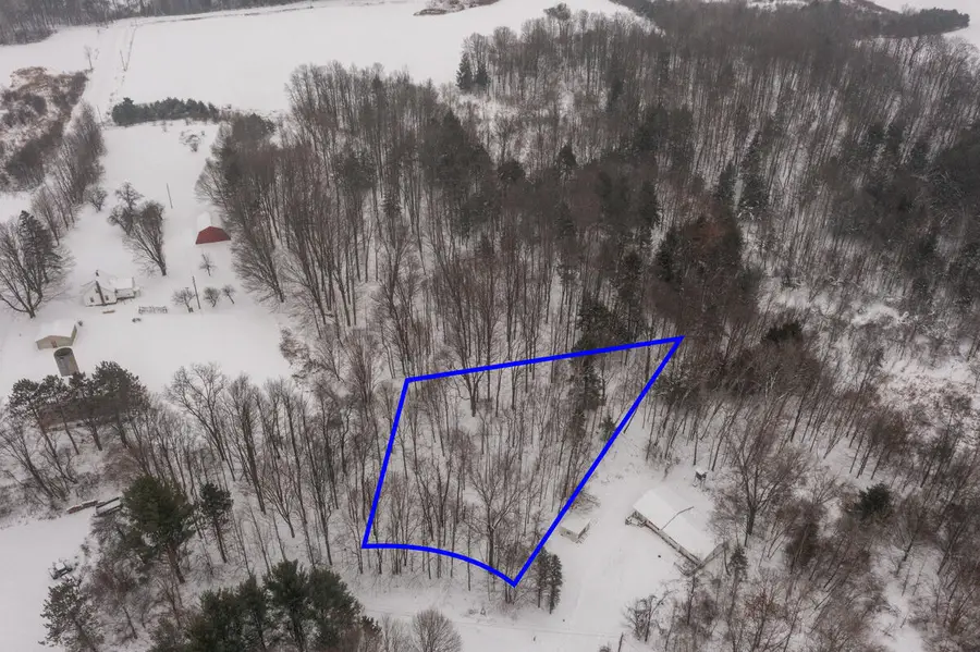 23086 Huron Trail, Evart, MI 49631 - #3