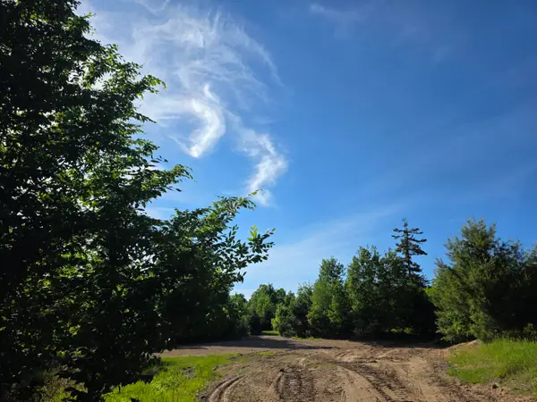 10348 E Starlight Ridge Circle, Onekama, MI 49675