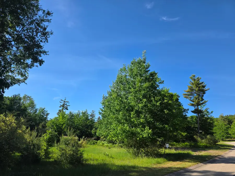 10348 E Starlight Ridge Circle, Onekama, MI 49675 - #3
