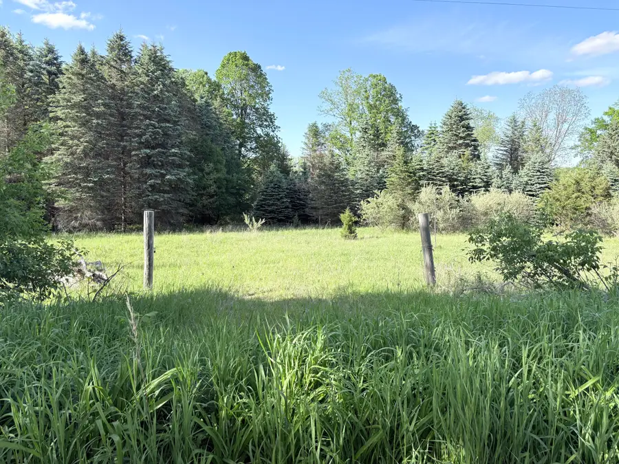 VL E Riverside Drive, Ionia, MI 48846 - #2