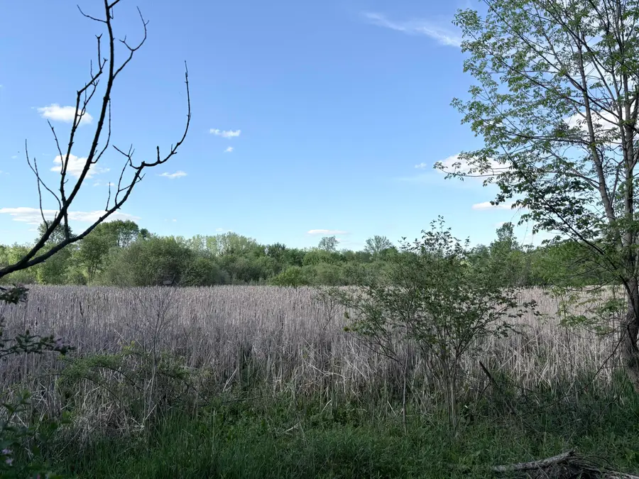 VL E Riverside Drive, Ionia, MI 48846 - #3