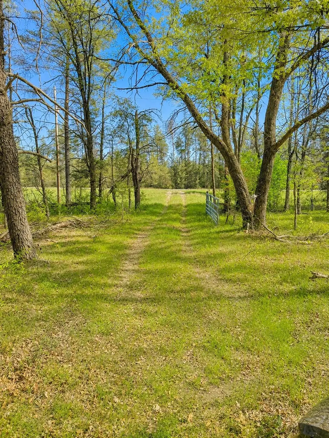 V/L Temple Drive, Marion, MI 49665 - #1