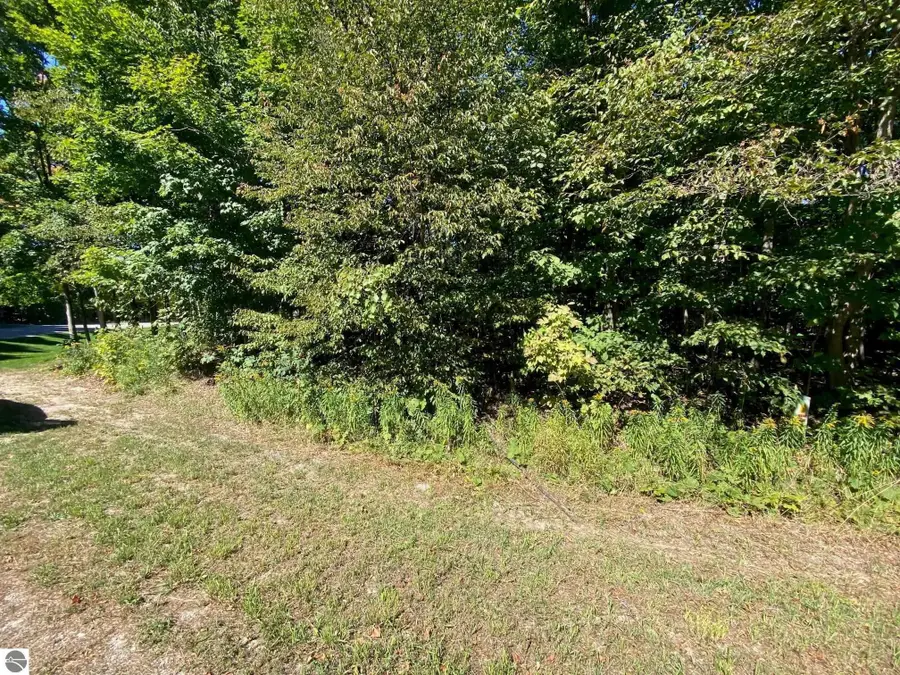 Lot 130 E Sugar Maple Drive, Cedar, MI 49621 - #2