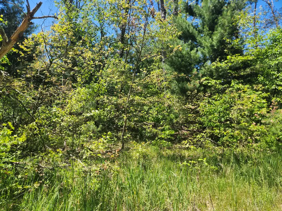 VL S Delaware Avenue, Baldwin, MI 49304 - #3