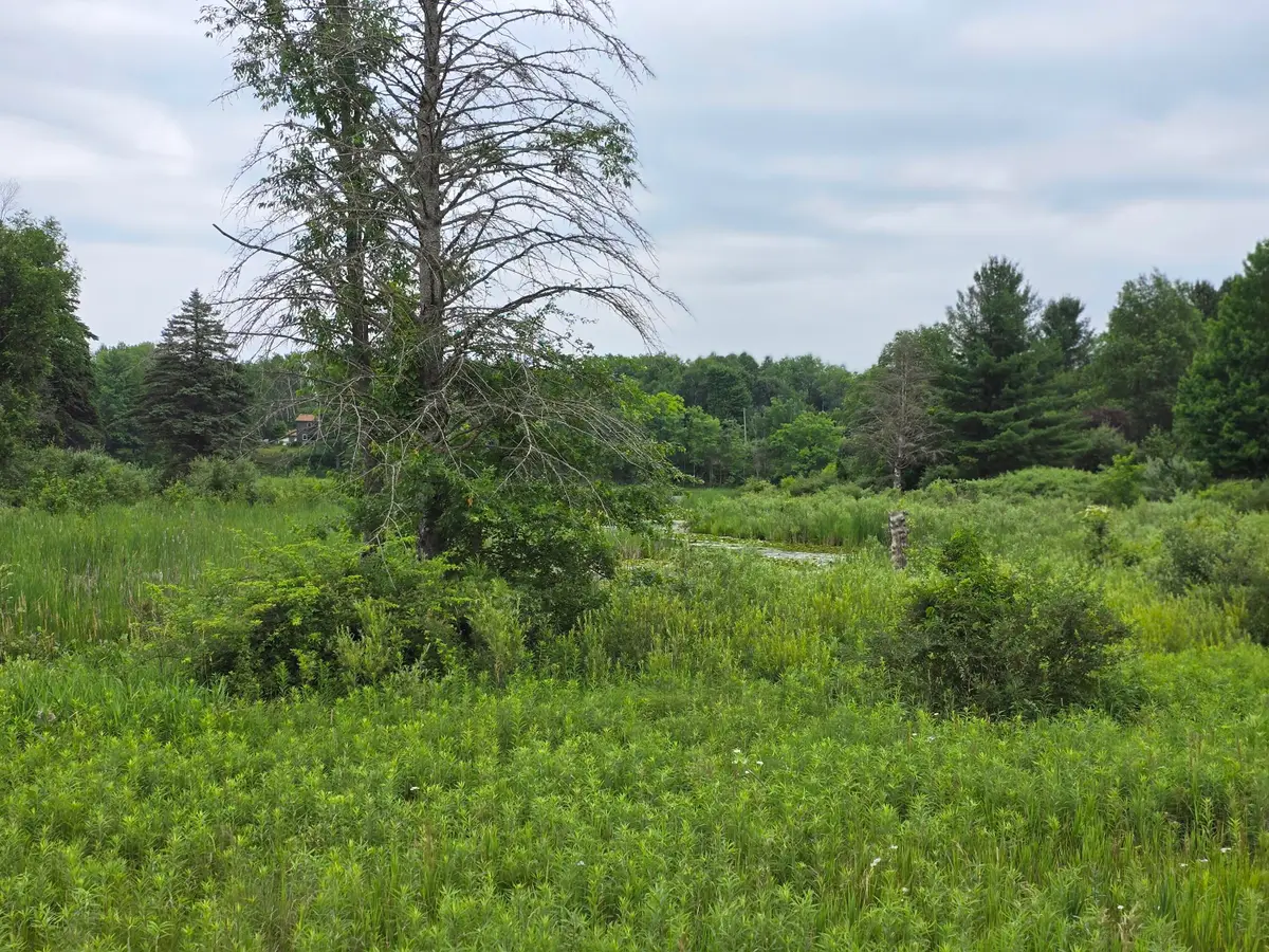 6172 Lake Road, Barryton, MI 49305 - #1