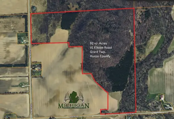 VL Elkton Road, Owendale, MI 48754