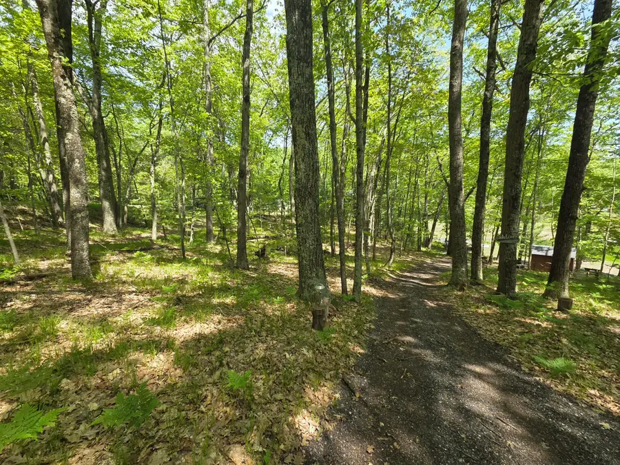 9312-9334 W Ox Path Street, Baldwin, MI 49304 - #3
