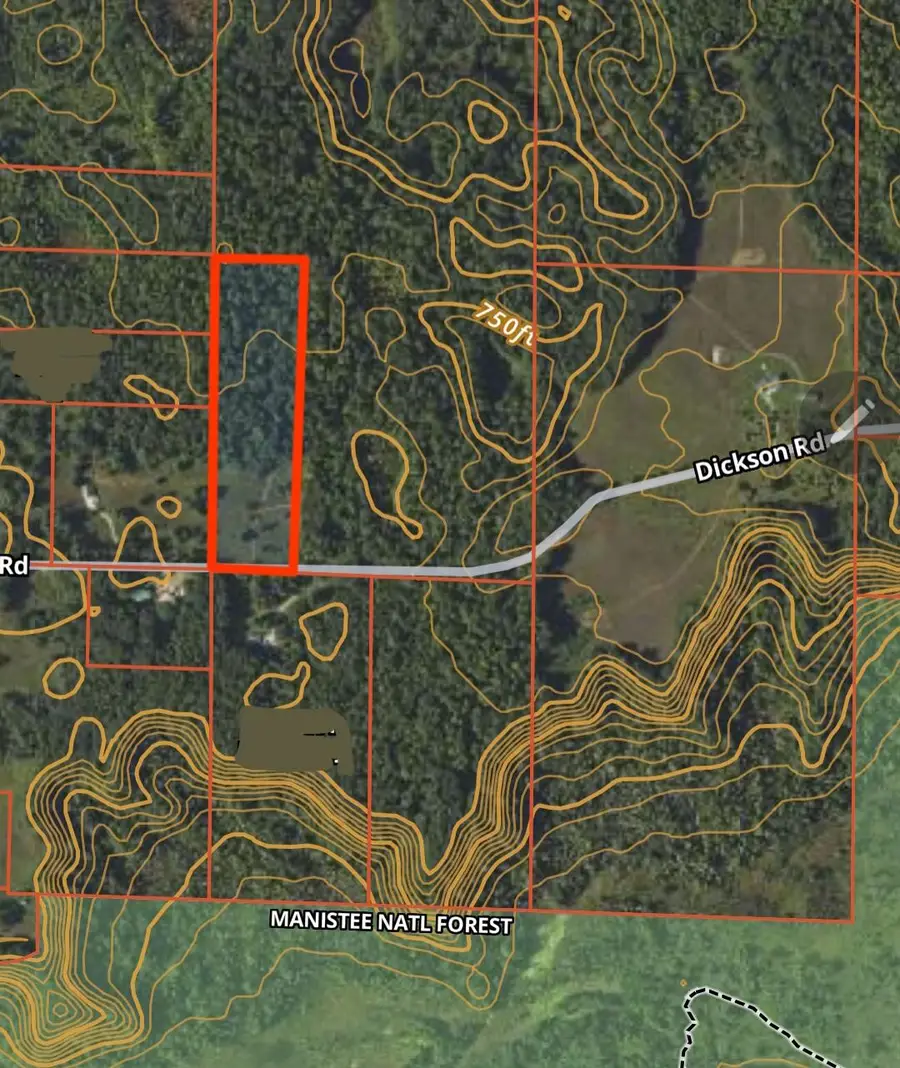 Dickson Road, Brethren, MI 49619 - #2