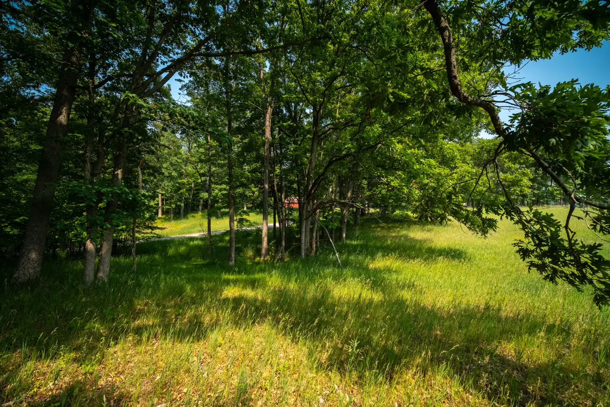 8161 N Hunters Ridge Drive, Irons, MI 49644 - #1