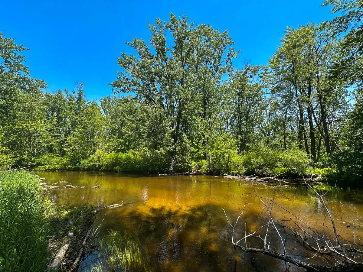 3804 E Wilson Road, Custer, MI 49405 - #1