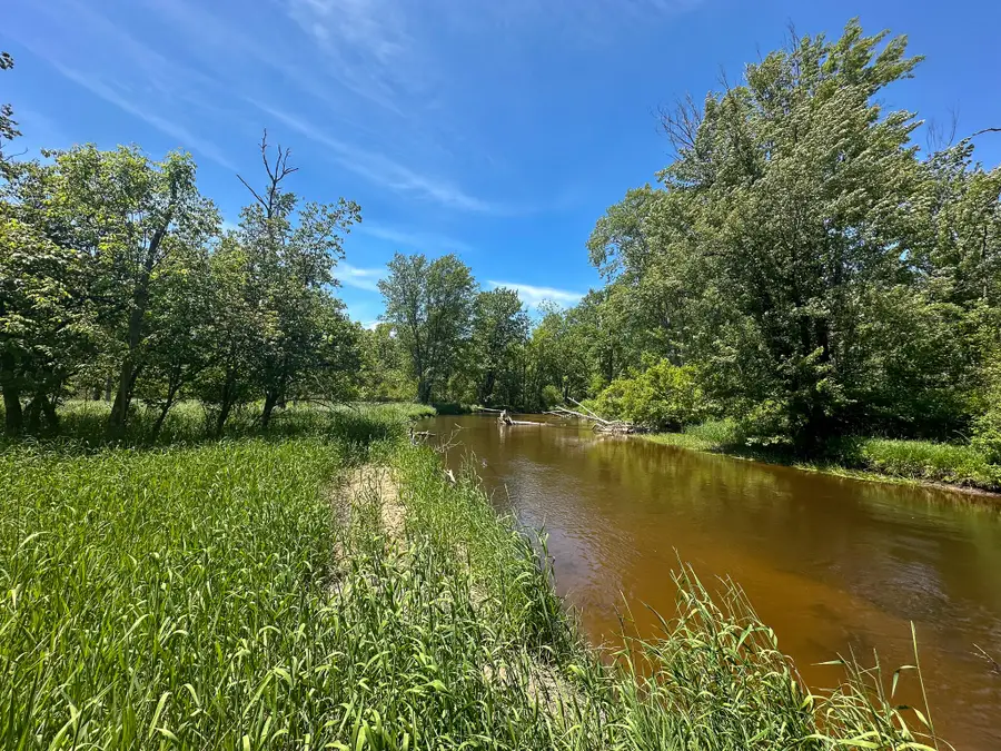 3804 E Wilson Road, Custer, MI 49405 - #2