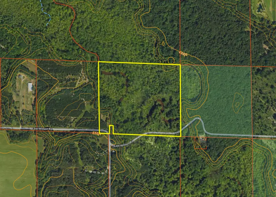 3804 E Wilson Road, Custer, MI 49405 - #3