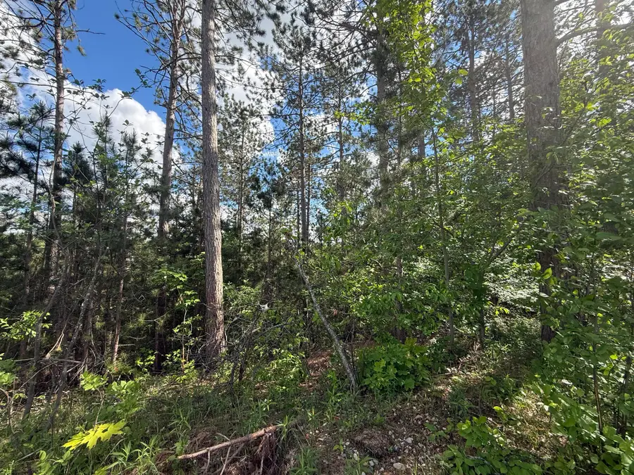 V/l Bear Paw Trail #10, Vanderbilt, MI 49795 - #2