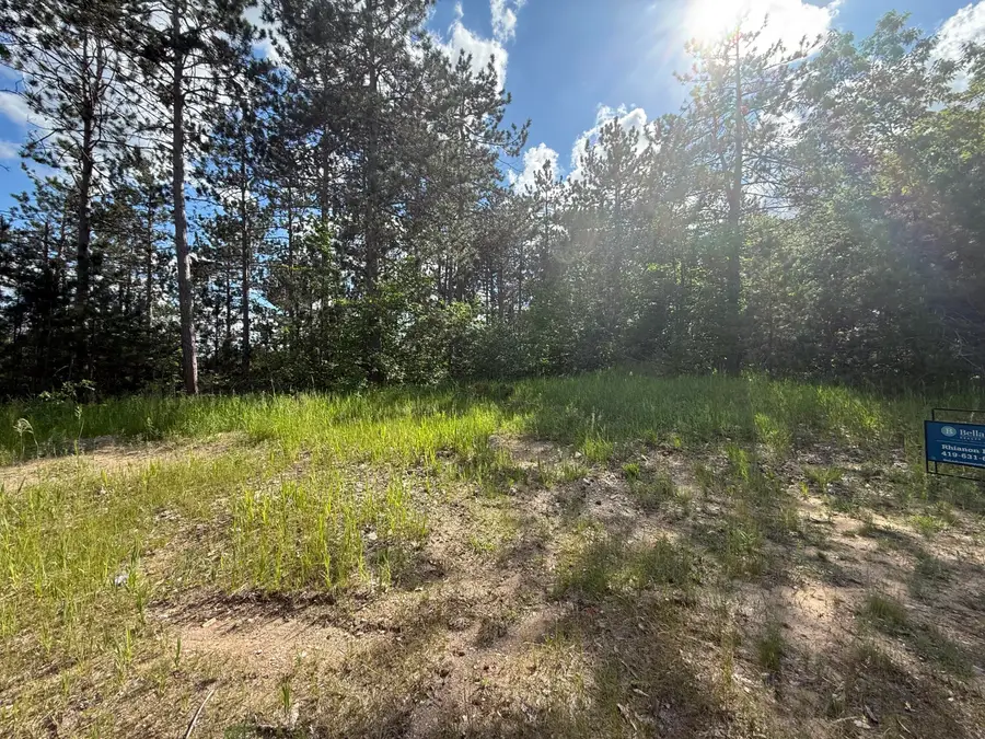 V/l Bear Paw Trail #10, Vanderbilt, MI 49795 - #3