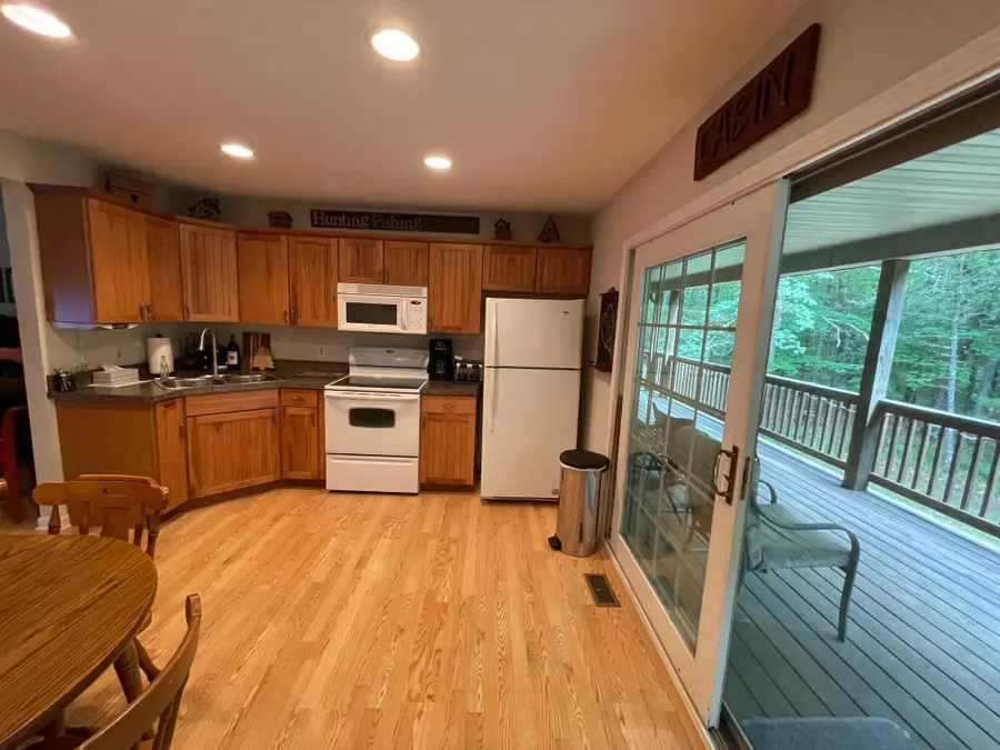 8725 W River Road, Irons, MI 49644 - #3