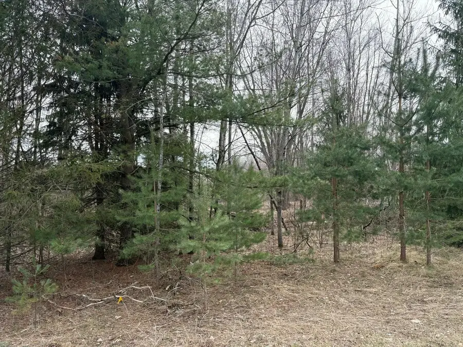 17800 Sparta Avenue Nw, Kent City, MI 49330 - #2