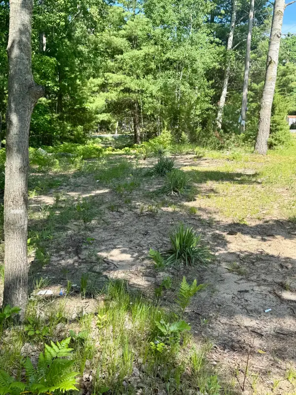 998 Grass Lake Avenue, Lake, MI 48632