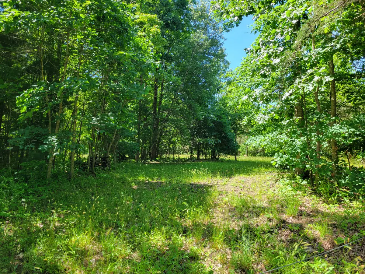 V/L 26th Avenue, South Haven, MI 49090 - #1