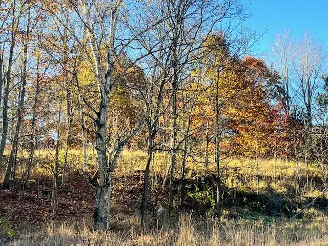 9955 Wiitala Road, Copemish, MI 49625 - #1