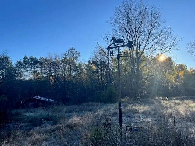 9955 Wiitala Road, Copemish, MI 49625 - #3