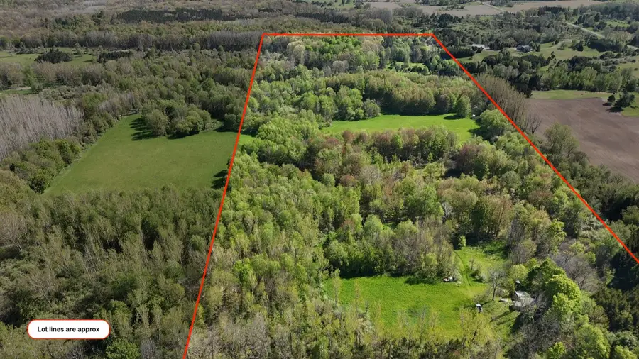 2665 E Wilson Road, Custer, MI 49405 - #3
