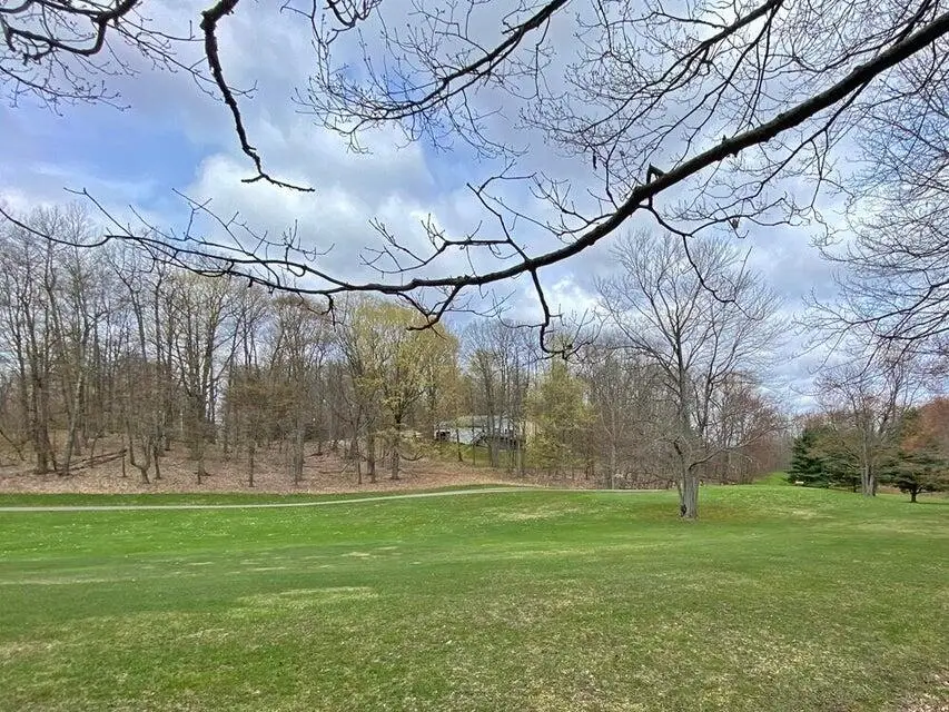 9372 E Circle Drive, Canadian Lakes, MI 49346 - #3