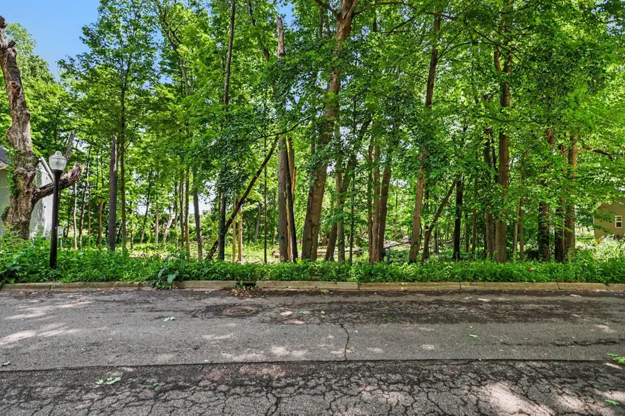 911 N Wooded Lane, Marshall, MI 49068 - #2