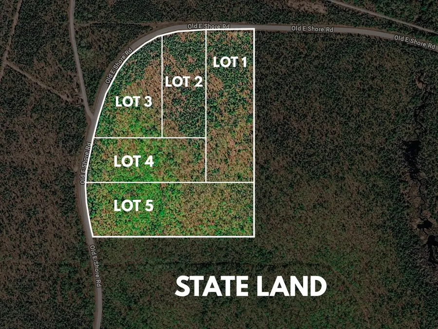 E Shore Road, Bergland, MI 49910 - #3