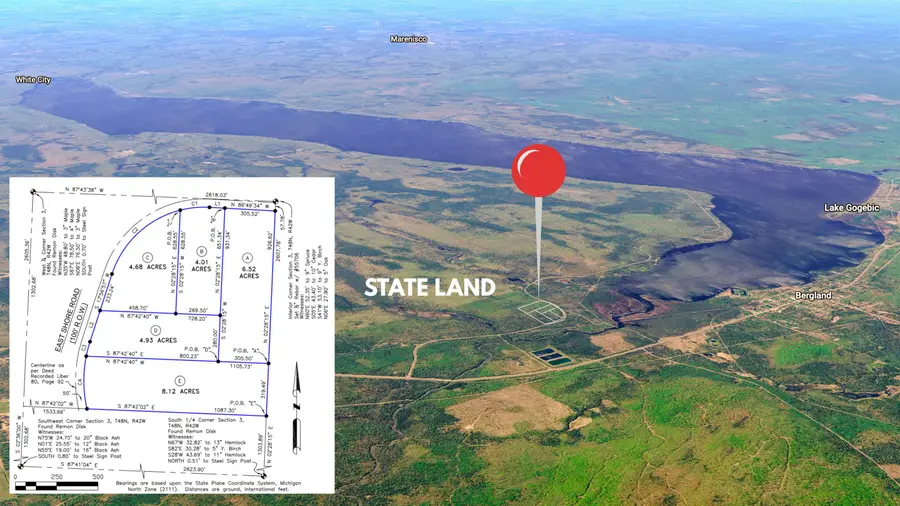 Lot 5 E Shore Road, Bergland, MI 49910 - #2