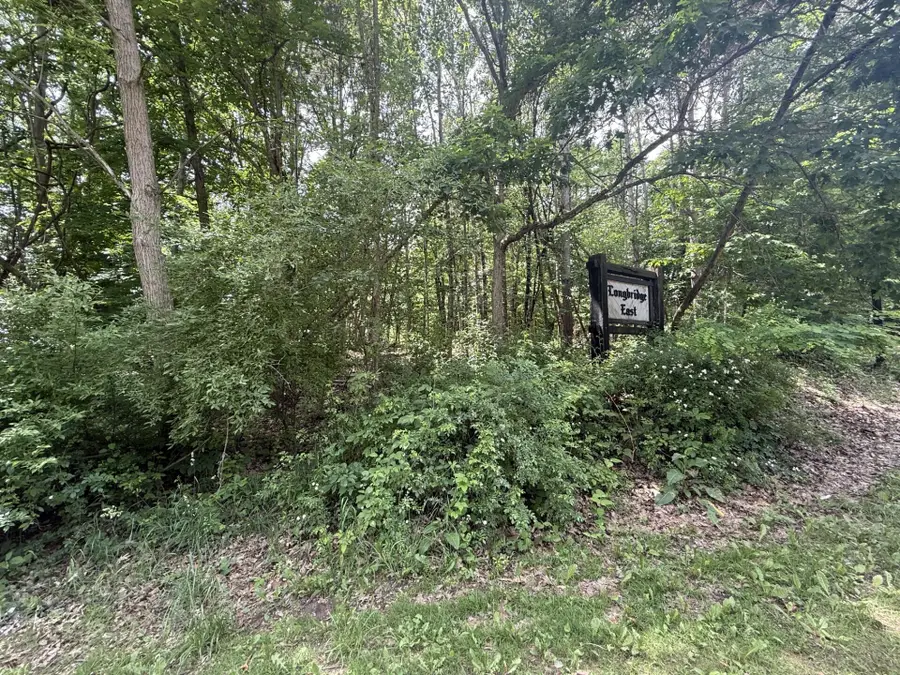 0 Longbridge Road, Pentwater, MI 49449 - #3
