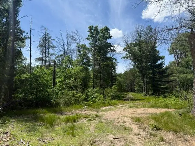 Parcel 2 Grove Street, Baldwin, MI 49304 - #1