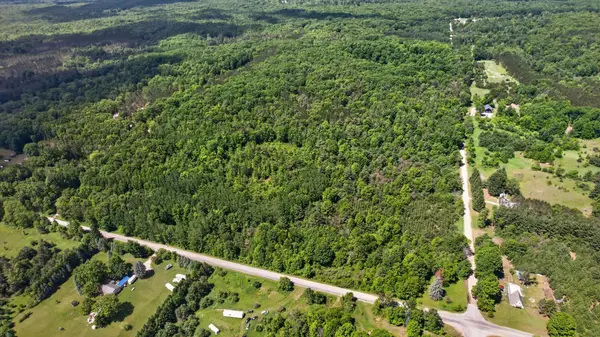 V/L S Deer Lake Road, Reed City, MI 49677