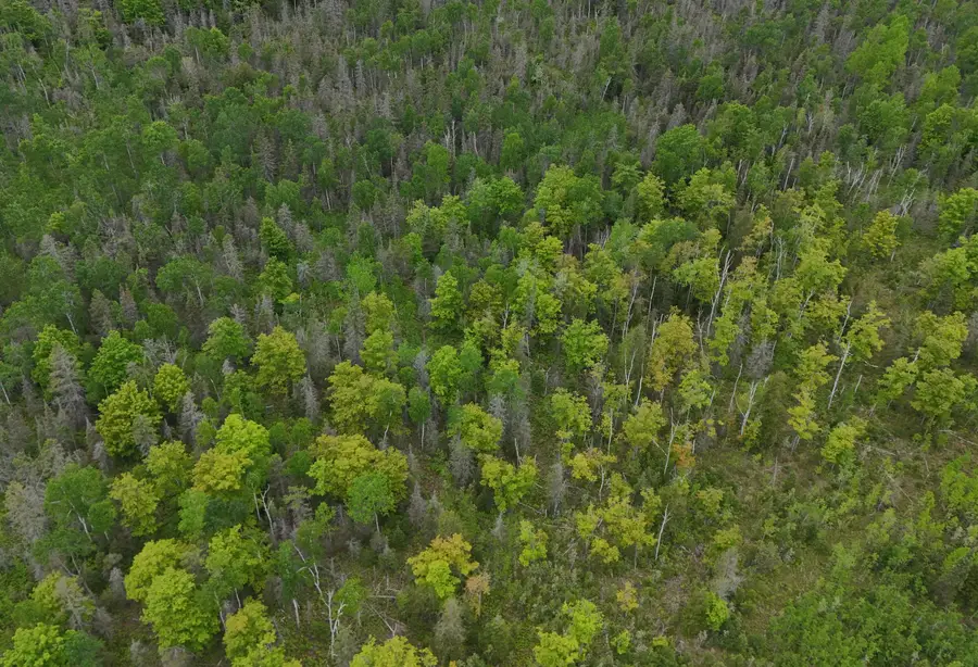 E Woods Road, Goetzville, MI 49736 - #2